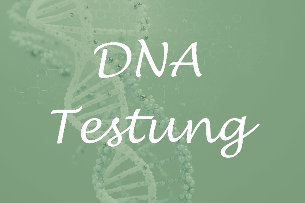 Illustration einer DNA-Doppelhelix mit der Aufschrift „DNA Testing“ vor grünem, wissenschaftlichem Hintergrund.