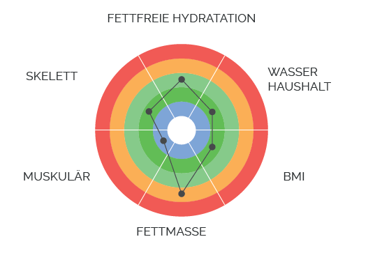 Spinnendiagramm zum Biody ZM3 Gerät