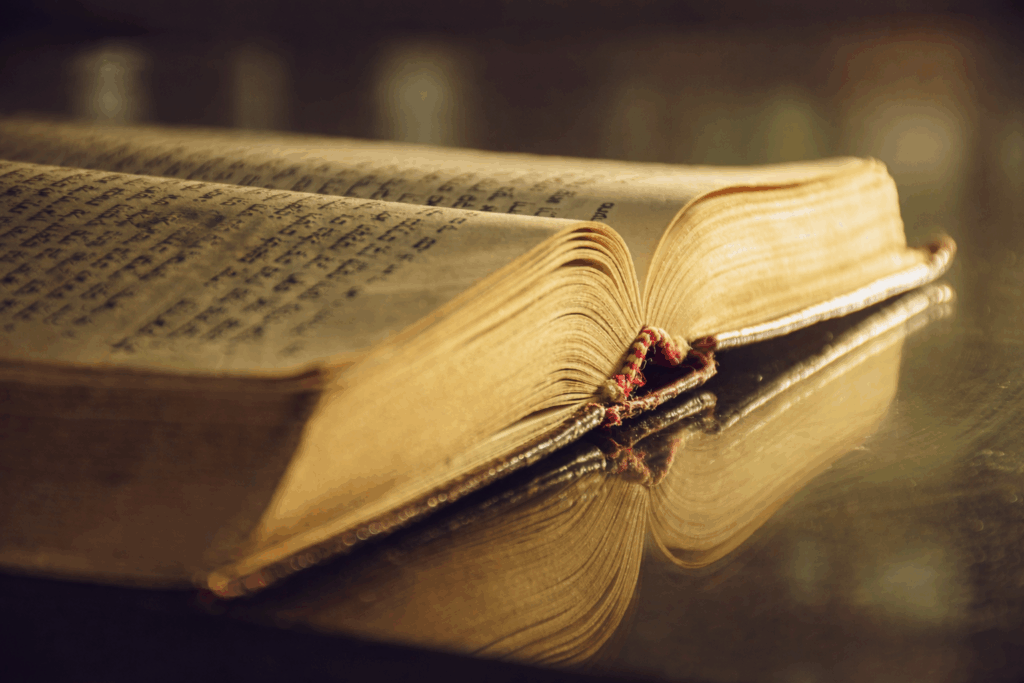 Geöffnetes, altes Buch.